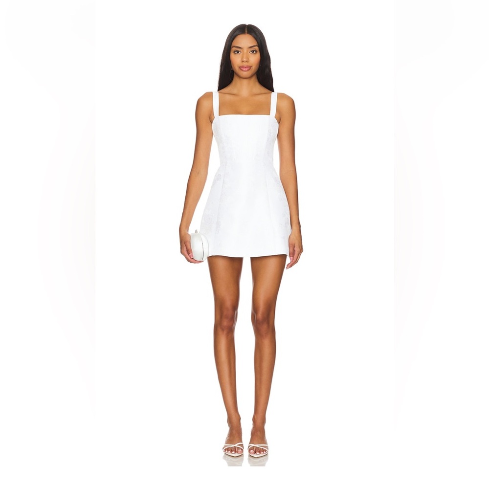 V. Chapman Kimmy Mini Dress. Worn once!